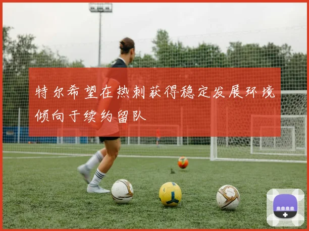 特尔希望在热刺获得稳定发展环境倾向于续约留队